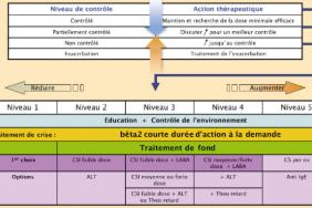 Actualites Dans L Asthme De L Enfant Pediatrie Pratique